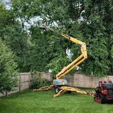 Trusted East Ridge, TN Tree Removal Experts