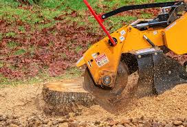 Best Utility Line Clearance  in East Ridge, TN