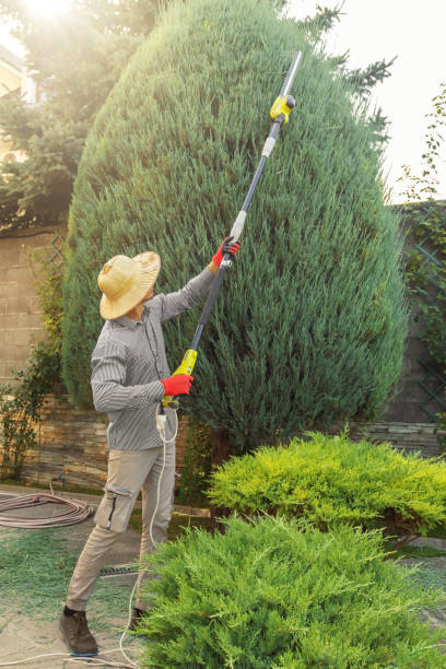 Best Landscape Design and Installation  in East Ridge, TN