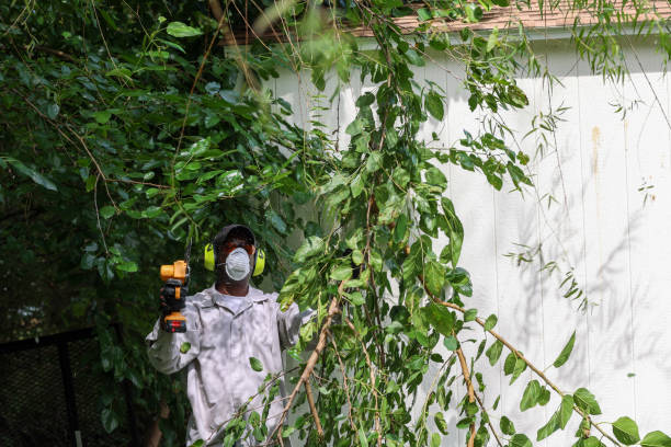 Best Tree Health Inspection  in East Ridge, TN